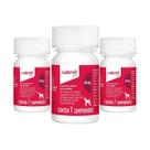 3 Galliprant 60mg Anti-inflamatório Elanco Cães 7 Comp.