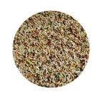 3 KG Ração Mistura para Canário - Com Alpiste Painço Aveia e Vitaminas 3 KG Ração Mistura para Canário - Com Alpiste Painço Aveia e Vitaminas