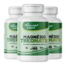 3 Magnésio Treonato Potencialize memória, aprendizado e concentração TDAH