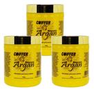 3 Máscara argan Coiffer 500g Linha hidratação maxima 3 Unid.