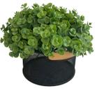 3 Pacotes 6 hastes cada mini eucalipto artificiais planta artificial para artesanato arranjos - DE2823
