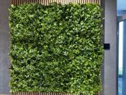 3 Painéis de Muro Verde com Folhagem Artificial Permanente Placa Decorativa 3D Realista para Paredes