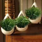 3 Picks de Mini eucalipto folhagem artificial ótimo para decorações de mesas e jardins internos - DE0324