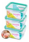 3 Pote Multiuso Freshy Plástico Freezer Sanremo Sr1762 537ml