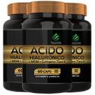 3 Potes Acido Hialuronico + Colageno Tipo II + MSM Kit 180 Cáps - Fonte Verde
