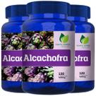 3 Potes Alcachofra Pura Kit 360 Cáps - Fonte Verde