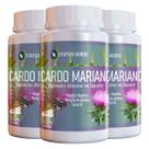 3 Potes Cardo Mariano Puro 500mg Kit 180 Cáps