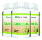 3 Potes Carqueja Pura 500mg Kit 360 Cáps