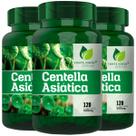 3 Potes Centella Asiática Pura Gotu Kola Kit 360 Cápsulas - Fonte Verde