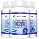 3 Potes Colageno Tipo 2 com Magnésio 500mg Kit 360 Cápsulas