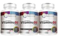 3 Potes de Vitamina B6 60 Cápsulas 500mg - 1x Cápsula ao dia