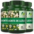 3 Potes Dente de Leão Puro Kit 360 Cáps - Fonte Verde