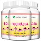 3 Potes Equinácea Extrato Seco Kit 360 Cáps - Status Verde
