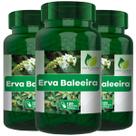 3 Potes Erva Baleeira Kit 360 Cáps - Fonte Verde