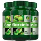 3 Potes Garcínia 100% Natural Kit 360 Cápsulas - Fonte Verde