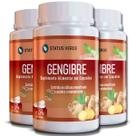 3 Potes Gengibre Puro 500mg Kit 360 Cáps