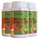 3 Potes Ginkgo Biloba com Castanha da India 500mg kit 180 cáps