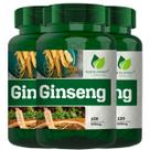 3 Potes Ginseng Puro Panax Natural Kit 360 Cáps - Fonte Verde