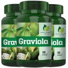 3 Potes Graviola Pura 100% Natural Kit 360 Cáps - Fonte Verde