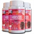 3 Potes Hibisco Puro 500mg Kit 360 Cáps 3 Potes Hibisco Puro 500mg Kit 360 Cáps
