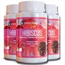 3 Potes Hibisco Puro Kit 180 Cáps de 500mg Original