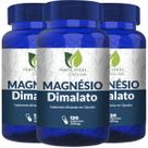 3 Potes Magnésio Dimalato Kit 360 Cáps - Fonte Verde