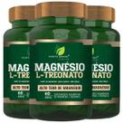 3 Potes Magnésio L-Treonato Kit 180 Cáps Fonte Verde - Matéria Prima Importada