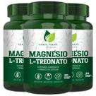3 Potes Magnésio L Treonato Kit 360 Cáps Matéria Prima Importada Fonte Verde