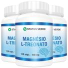 3 Potes Magnésio LTreonato Kit 360 Cáps