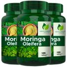 3 Potes Moringa Pura Natural Kit 360 Cápsulas - Fonte Verde