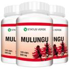 3 Potes Mulungu Natural 500mg Kit 360 Cáps