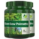 3 Potes Saw Palmetto 100% Puro Kit 360 Cáps - Fonte Verde