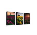 3 Quadros Com Moldura Campo De Tulipas Coloridas Flor 60x40 Moldura Preta