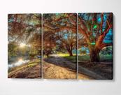 3 Quadros em Tecido Canvas Caminho Árvores Estrada Paisagem