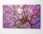 3 Quadros em Tecido Canvas Cerejeira Árvore Primavera Flor