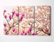 3 Quadros em Tecido Canvas Cerejeira Magnólias Flor Natureza 3 Quadros em Tecido Canvas Cerejeira Magnólias Flor Natureza