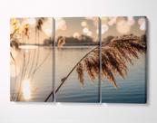 3 Quadros em Tecido Canvas Lago Junco dourado Paisagem Céu 3 Quadros em Tecido Canvas Lago Junco dourado Paisagem Céu