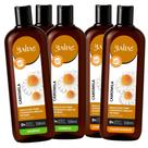 3 Shampoos e 2 Condicionadores Camomila 500ml Yabae