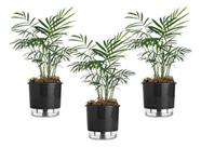 3 Vaso Autoirrigável Terrazzo 02 Reservatório Horta Flor Raiz