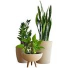 3 Vaso Planta Para Sala Pequena Apartamento Decoração Kit