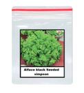 30 Sementes De Alface black Seeded simpson 30 Sementes De Alface black Seeded simpson