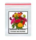30 Sementes De Celósia Cristata Anã Sortida