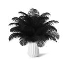 30 unidades de plumas naturales de avestruz negras NEWONG 28-35 cm para manualidades