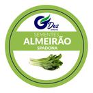 300 Sementes De Almeirão Spadona folha Fina 300 Sementes De Almeirão Spadona folha Fina