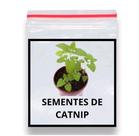 300 Sementes De Erva Dos Gatos Catnip