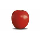 300 Sementes Tomate Especial para Salada (estaca) 300 Sementes Tomate Especial para Salada (estaca)