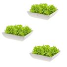 3un Saladeira Quadrada 1,4 Lt Travessa Petisqueira Bege