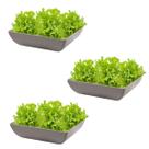 3un Saladeira Quadrada 1,4 Lt Travessa Petisqueira Cinza Evo