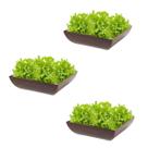 3un Saladeira Quadrada 1,4 Lt Travessa Petisqueira Marrom Es