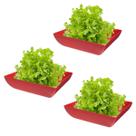 3un Saladeira Quadrada 2,9 Lt Travessa Petisqueira Vermelha